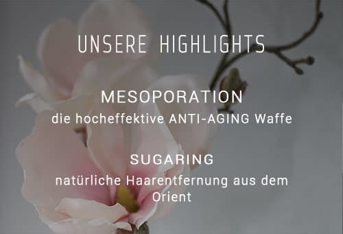 Mesoporation - die hocheffektive ANTI-AGING Waffe